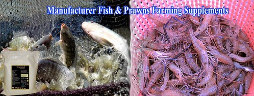 Manufacturer fish Farming supplements