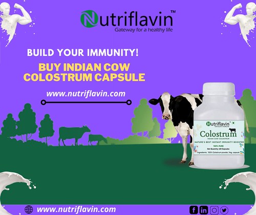 Shop Colostrum Capsule Supplement For a Healthy Life|Nutriflavin.com