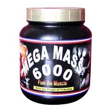 Mega Mass 6000 Supplement
