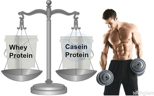 Protein Bible: Which Is The Best Protein