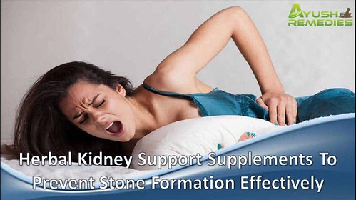 herbal kidney support supplements